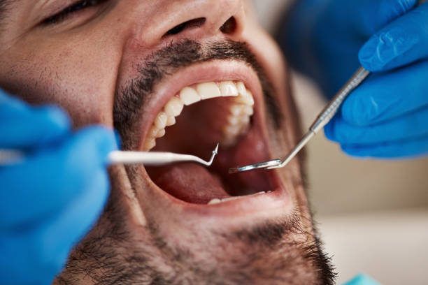 Best Emergency Orthodontic Services in Mshall, AR